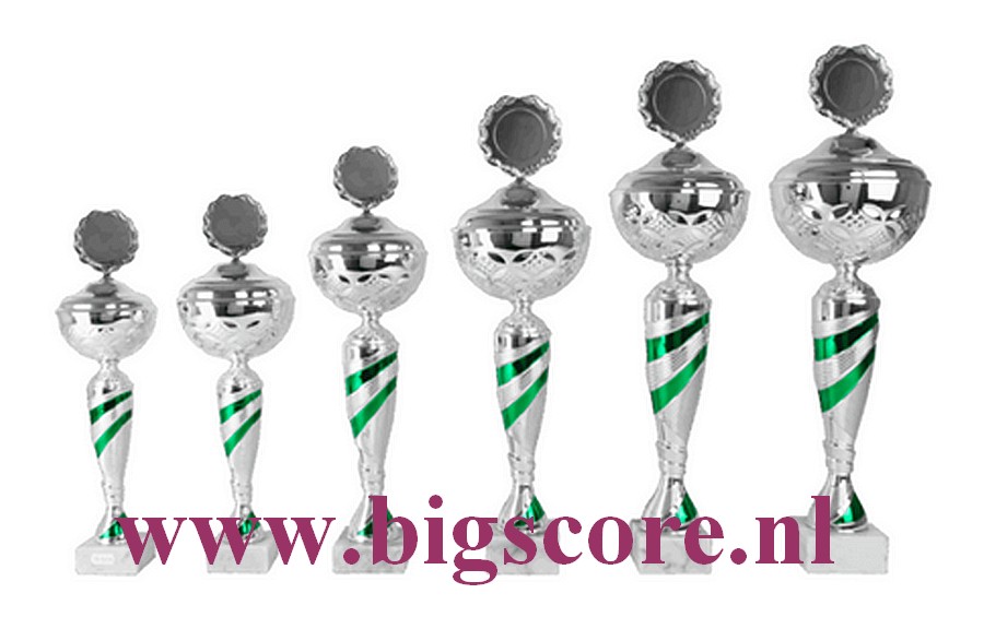 AK5095 Beker Groen-Zilver